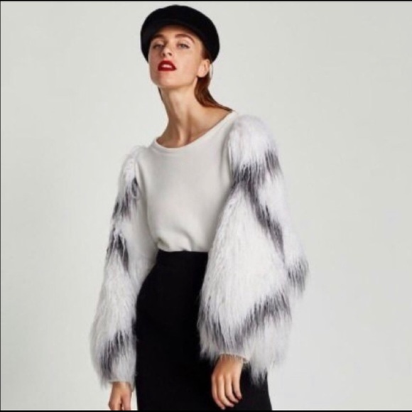 Zara Tops - NWT Bloggers Favorite Zara Winter White Sweatshirt